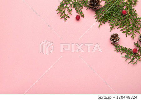 Thuja branch and christmas decoration on pink background. Thuja branch and christmas decoration on pink background. 120448824