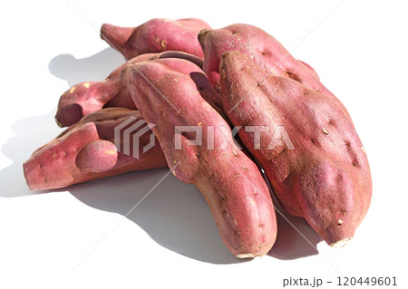 さつまいも(紅こがね) さつまいも(紅こがね) 120449601