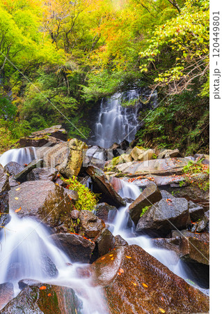 【神奈川県】秋の箱根、飛龍の滝 【神奈川県】秋の箱根、飛龍の滝 120449801
