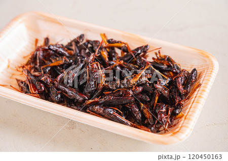 パック入りイナゴの甘露煮 パック入りイナゴの甘露煮 120450163