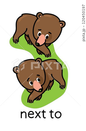 Preposition of place. Bear next to another bear 120450197