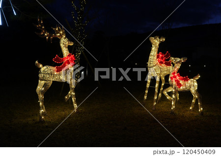 イルミネーション・イベント・行事 クリスマス サンタクロース トナカイ イルミネーション・イベント・行事 クリスマス サンタクロース トナカイ 120450409