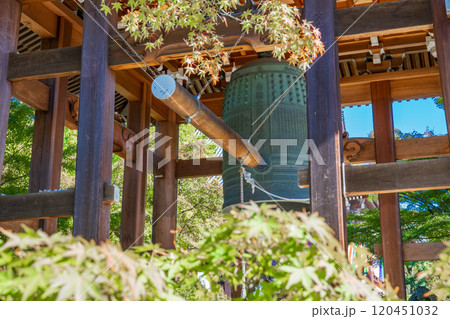 京都市東山区　智積院の梵鐘 120451032