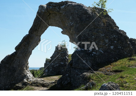 Rauk formations (sea stack) at Lergravsviken, a nature reserve in northern Gotland, Sweden. 120451151