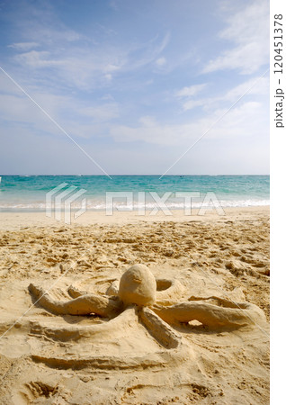 Octopus sculpture on beach Octopus sculpture on beach 120451378