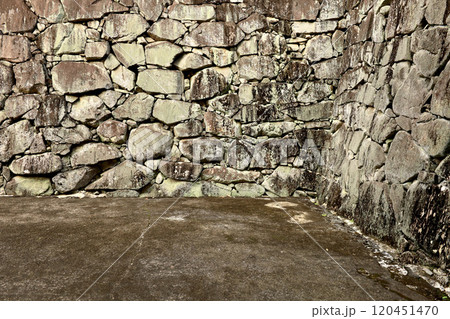 龍野城の石垣 120451470