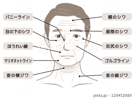 高齢男性の顔　シワ　名称　美容　老化 120452089