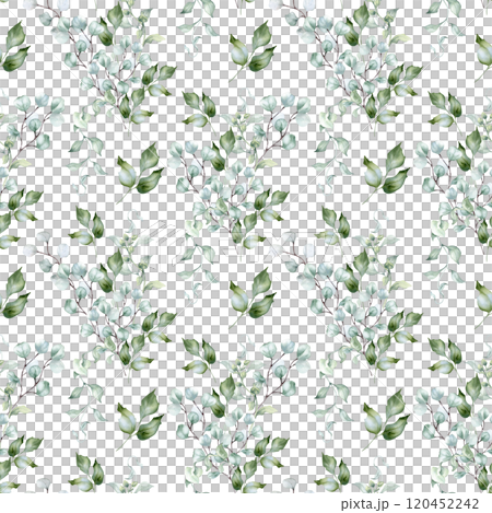 Watercolor foliage seamless pattern in sage green colors isolated. Eucalyptus branches and holly leaves on delicate repeated texture in soft green hand painted. Greenery background design textile. 120452242