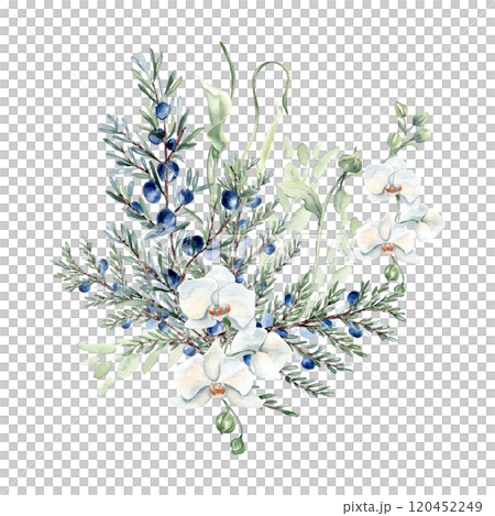 White orchids, eucalyptus and juniper in pastel tones watercolor composition isolated. Coniferous branches with white flowers in soft sage green hand drawn for nature label. Greenery design wall art. 120452249