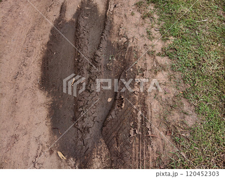 Tire tracks on the muddy road in a rural area. Tire tracks on the muddy road in a rural area. 120452303