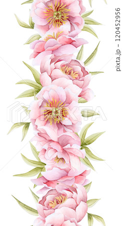 Romantic pastel pink peony flowers vertical seamless border isolated on white. Watercolor pastel pink roses for spring wedding banners and floral greeting card template on Women's Day 120452956