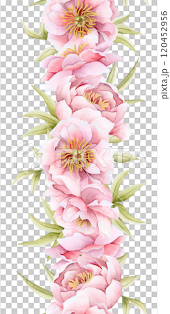 Romantic pastel pink peony flowers vertical seamless border isolated on white. Watercolor pastel pink roses for spring wedding banners and floral greeting card template on Women's Day 120452956