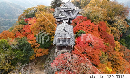 紅葉の天空の山城【備中松山城】ドローン空撮_TKBM_No68 紅葉の天空の山城【備中松山城】ドローン空撮_TKBM_No68 120453124