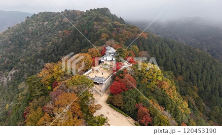 紅葉の天空の山城【備中松山城】ドローン空撮_TKBM_No40 120453190