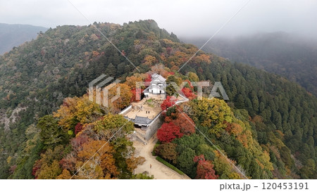 紅葉の天空の山城【備中松山城】ドローン空撮_TKBM_No41 紅葉の天空の山城【備中松山城】ドローン空撮_TKBM_No41 120453191
