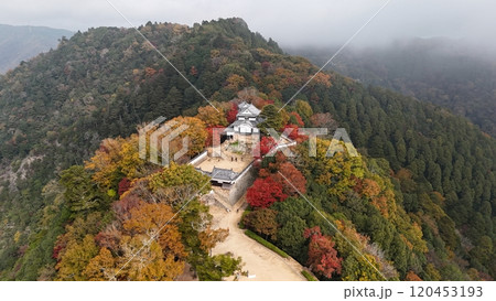 紅葉の天空の山城【備中松山城】ドローン空撮_TKBM_No43 120453193