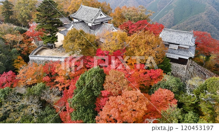 紅葉の天空の山城【備中松山城】ドローン空撮_TKBM_No70 紅葉の天空の山城【備中松山城】ドローン空撮_TKBM_No70 120453197
