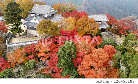 紅葉の天空の山城【備中松山城】ドローン空撮_TKBM_No71 120453198