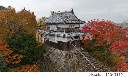 紅葉の天空の山城【備中松山城】ドローン空撮_TKBM_No60 120453304