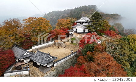 紅葉の天空の山城【備中松山城】ドローン空撮_TKBM_No34 紅葉の天空の山城【備中松山城】ドローン空撮_TKBM_No34 120453308
