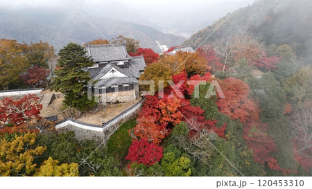 紅葉の天空の山城【備中松山城】ドローン空撮_TKBM_No36 120453310