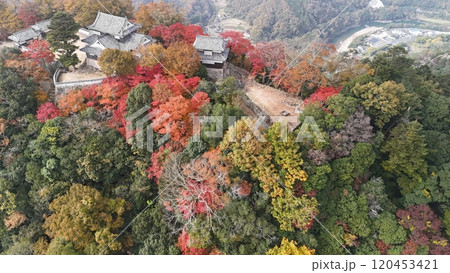 紅葉の天空の山城【備中松山城】ドローン空撮_TKBM_No46 120453421