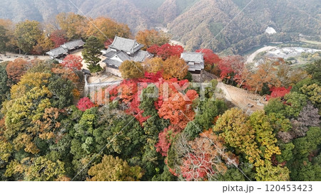 紅葉の天空の山城【備中松山城】ドローン空撮_TKBM_No48 120453423