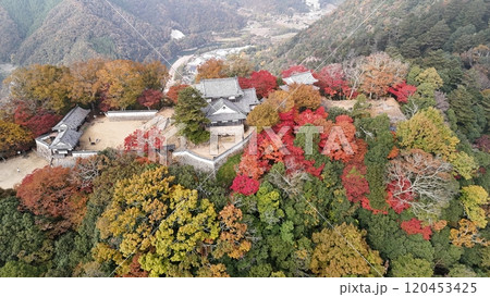紅葉の天空の山城【備中松山城】ドローン空撮_TKBM_No50 120453425