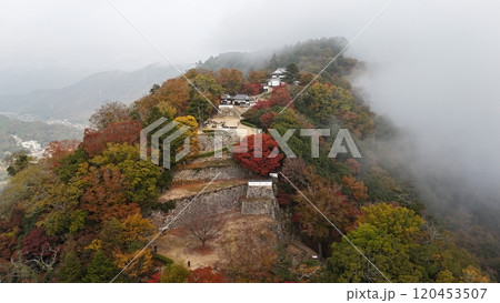 紅葉の天空の山城【備中松山城】ドローン空撮_TKBM_No18 紅葉の天空の山城【備中松山城】ドローン空撮_TKBM_No18 120453507