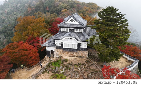 紅葉の天空の山城【備中松山城】ドローン空撮_TKBM_No19 紅葉の天空の山城【備中松山城】ドローン空撮_TKBM_No19 120453508