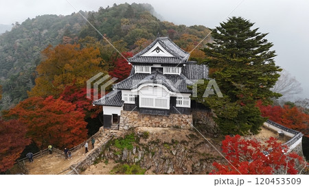 紅葉の天空の山城【備中松山城】ドローン空撮_TKBM_No20 120453509