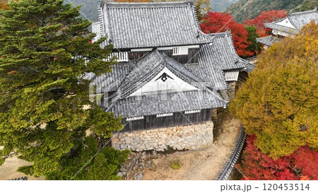 紅葉の天空の山城【備中松山城】ドローン空撮_TKBM_No57 紅葉の天空の山城【備中松山城】ドローン空撮_TKBM_No57 120453514