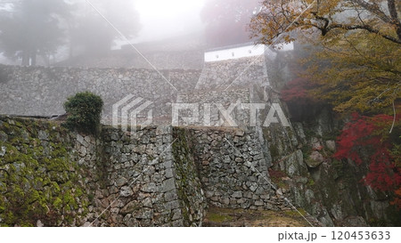 紅葉の天空の山城【備中松山城】ドローン空撮_TKBM_No14 紅葉の天空の山城【備中松山城】ドローン空撮_TKBM_No14 120453633