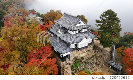 紅葉の天空の山城【備中松山城】ドローン空撮_TKBM_No23 紅葉の天空の山城【備中松山城】ドローン空撮_TKBM_No23 120453635