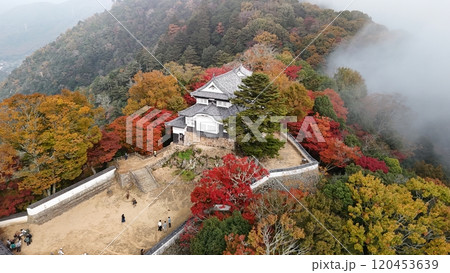 紅葉の天空の山城【備中松山城】ドローン空撮_TKBM_No27 120453639