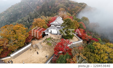 紅葉の天空の山城【備中松山城】ドローン空撮_TKBM_No28 120453640