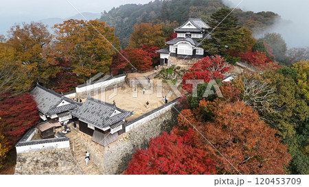 紅葉の天空の山城【備中松山城】ドローン空撮_TKBM_No30 紅葉の天空の山城【備中松山城】ドローン空撮_TKBM_No30 120453709