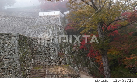 紅葉の天空の山城【備中松山城】ドローン空撮_TKBM_No12 120453729