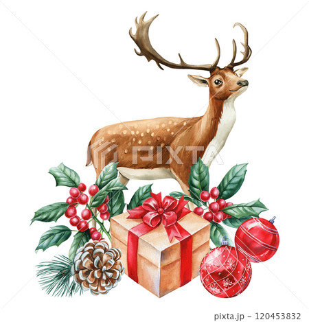 Reindeer, holiday gifts and decorations watercolor painting. Pine cone, holly berries, spruce branches for festive card 120453832