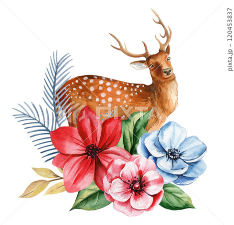 Festive watercolor deer with Christmas ornaments. Winter red and blue flowers, spruce branches for Christmas card 120453837