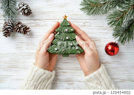 Christmas tree in female hands 120454002
