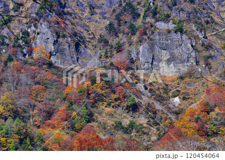 色鮮やかに染まる戸隠連山の山肌 色鮮やかに染まる戸隠連山の山肌 120454064