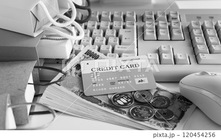 ネットショッピング　クレジットカード　Eコマース　ショッピングバッグ　買い物依存症　買い物好き 120454256