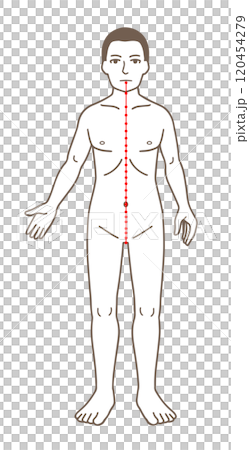 Illustrations of acupuncture points, meridians, and pressure points 120454279
