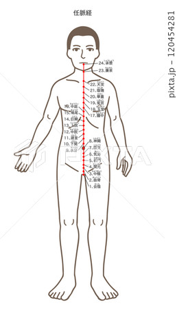 鍼灸の経穴、任脈、ツボのイラスト 鍼灸の経穴、任脈、ツボのイラスト 120454281
