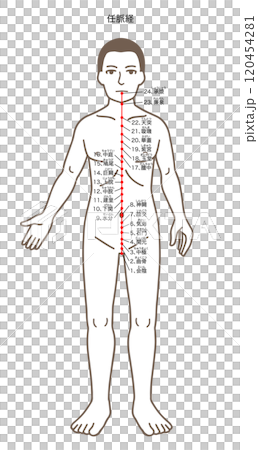 Illustrations of acupuncture points, meridians, and pressure points 120454281