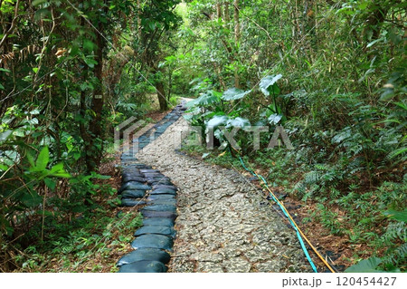 【沖縄県】斎場御嶽の石畳参道 120454427