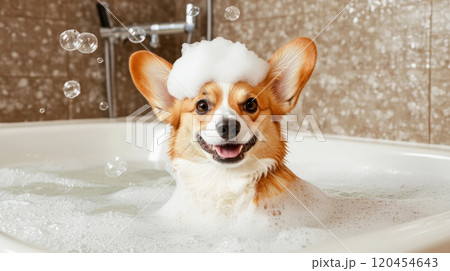 Cute Dog in Bathtub with Bubbles and Soap on Head, Smiling in Funny Style, High-Definition Photography 120454643