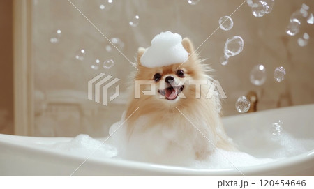 Cute Dog in Bathtub with Bubbles and Soap on Head, Smiling in Funny Style, High-Definition Photography 120454646