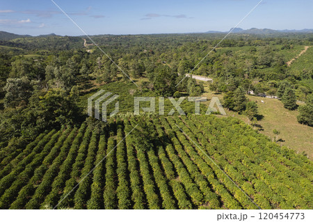 Agriculture field landscape aerial view Agriculture field landscape aerial view 120454773